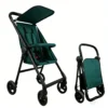 DarkGreen